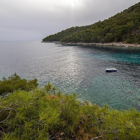 Secluded Fisherman'S Cottage Cove Skozanje, Hvar - 4009 Gdinj Dış mekan fotoğraf